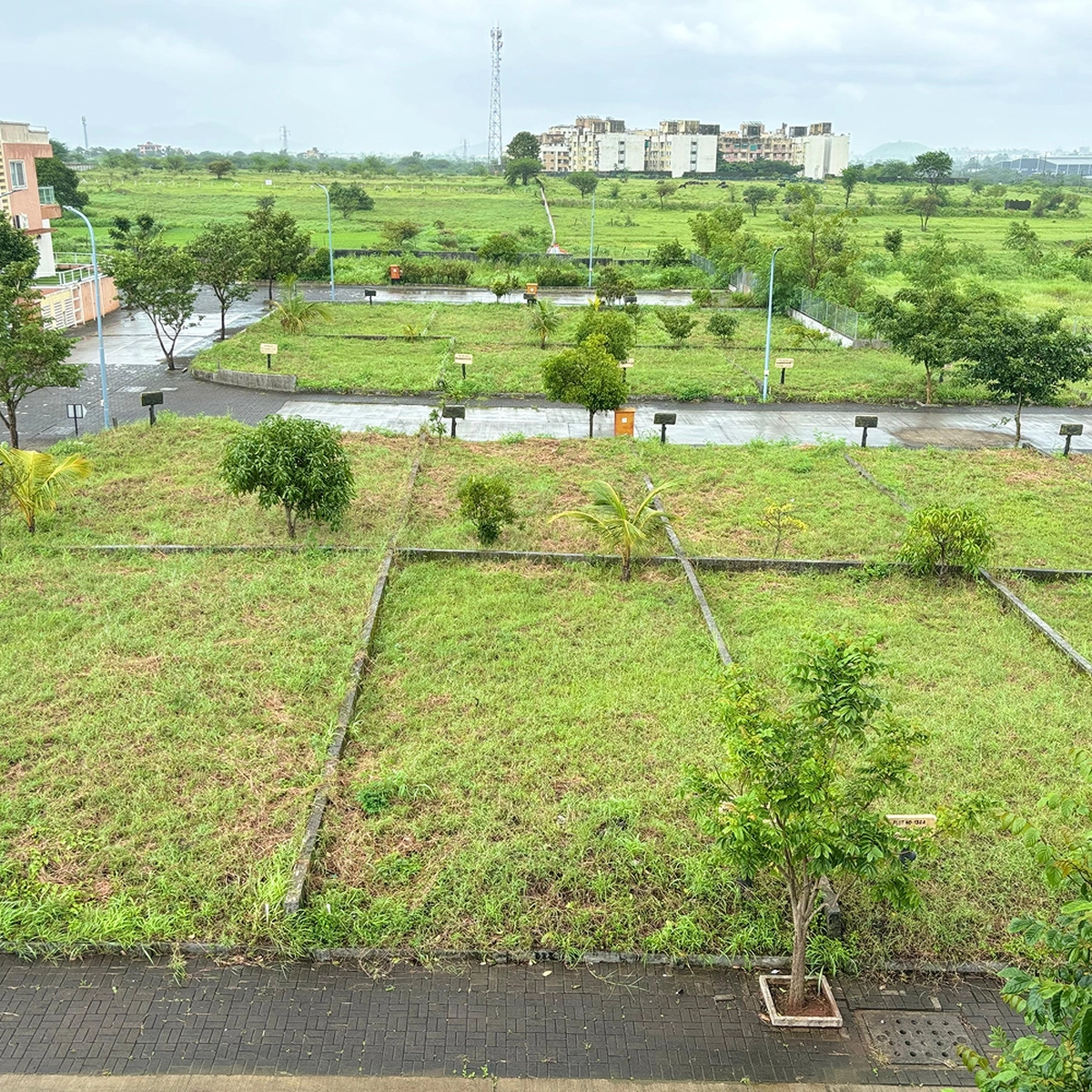 phase1&2 image 02-op