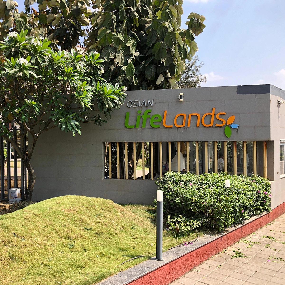 phase1&2 image 11-op