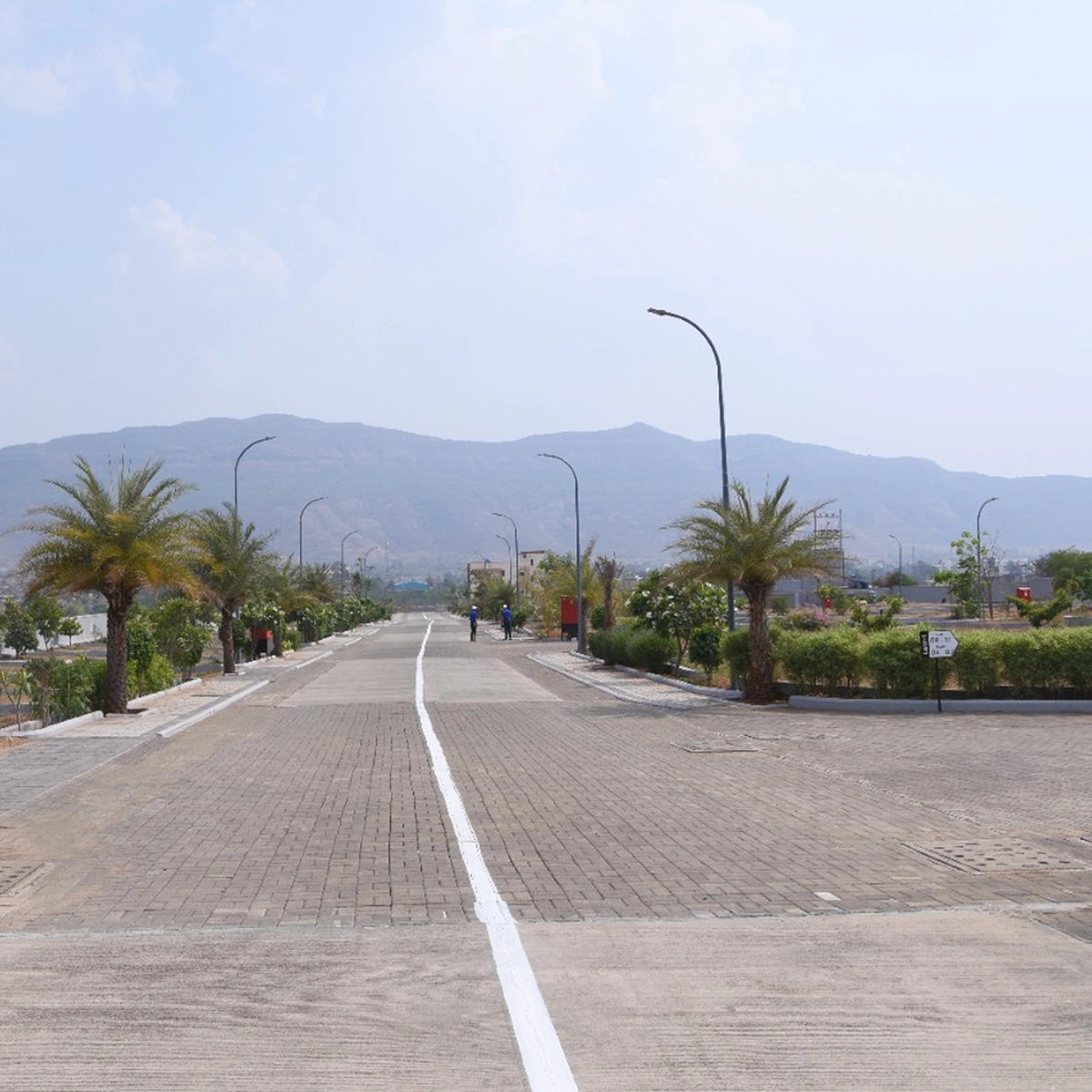 phase1&2 image 12-op